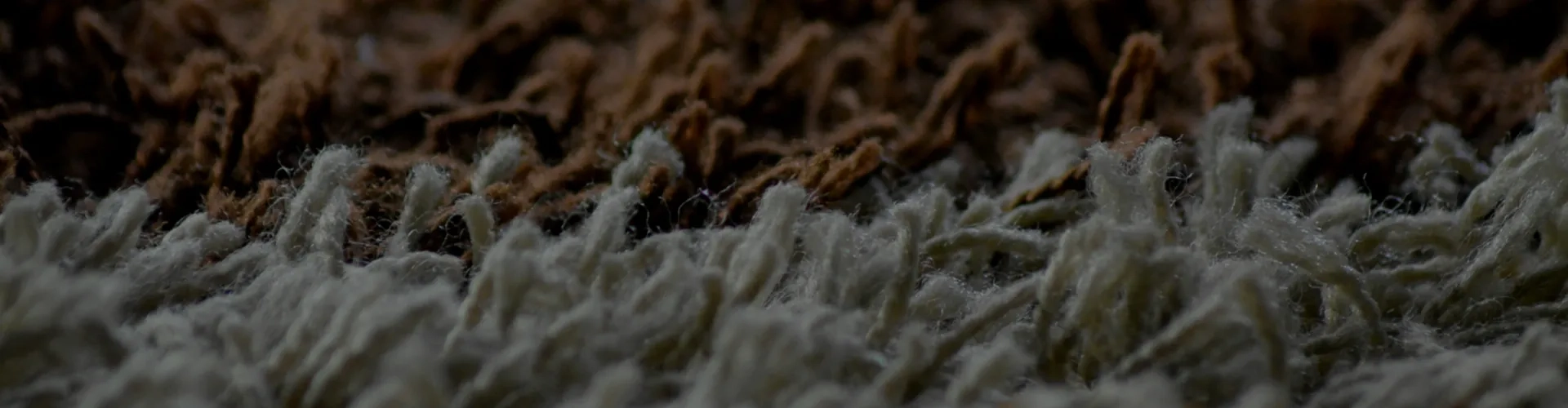 Carpet Cleaning in London