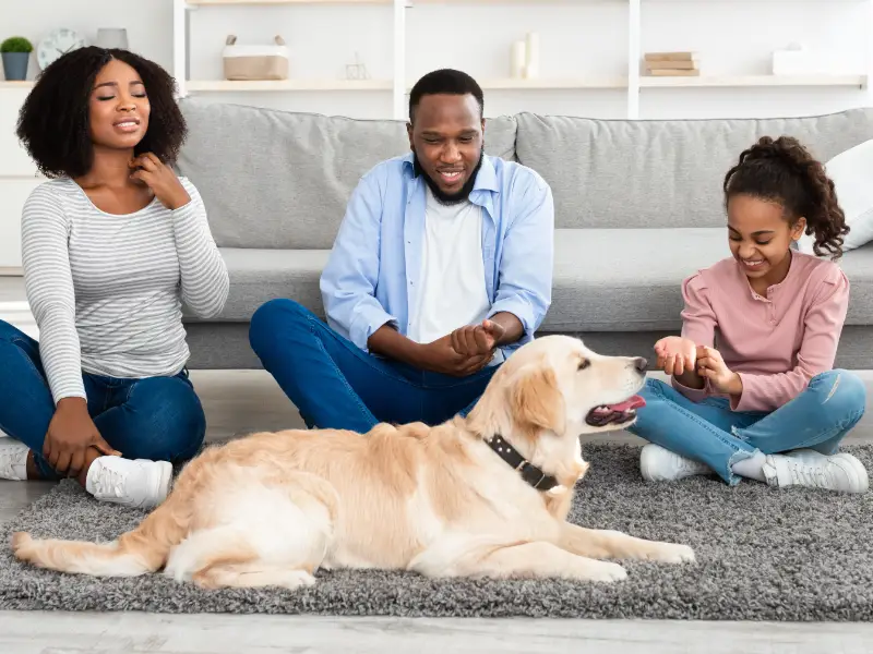 Smiling family with a golden retriever relaxing on a clean carpeted floor in a modern home, symbolising comfort after professional floor restoration 